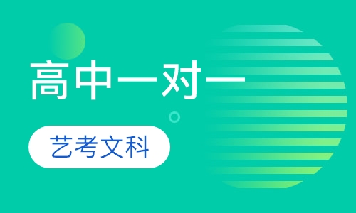 高中VIP一对一艺考文科