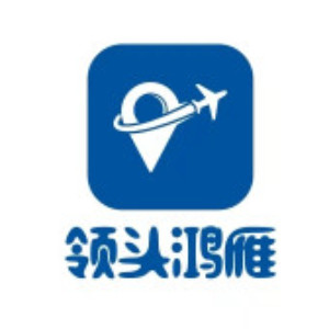 湖南领头鸿雁无人机学院