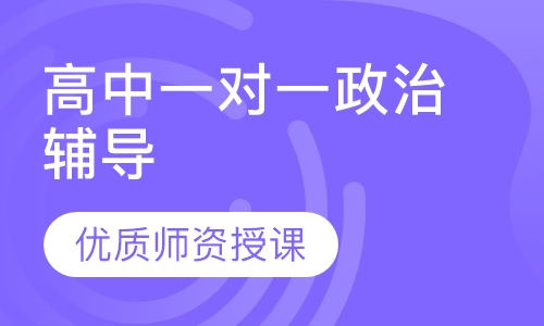 高中一对一政治辅导