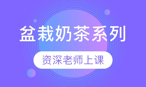 盆栽奶茶系列