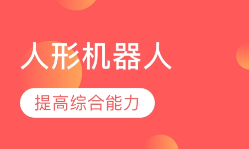 人形机器人