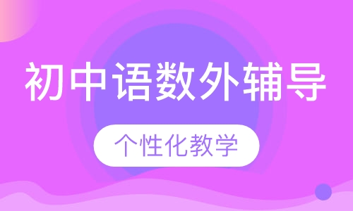 初中语数外辅导
