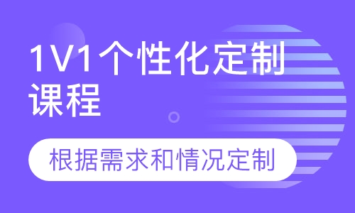 1V1个性化定制课程