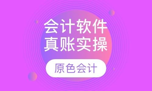 会计软件真账实操应用班