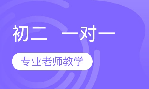 初二  一对一