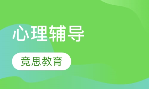 心理辅导