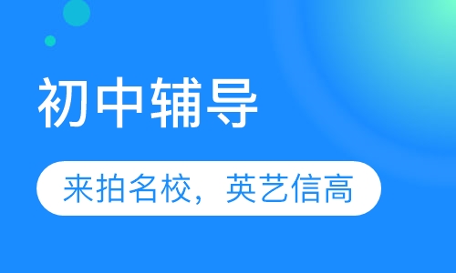 初中辅导