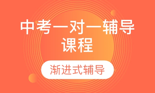 中考一对一辅导课程