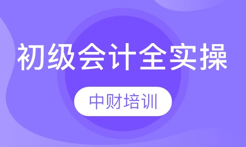 初级会计全实操