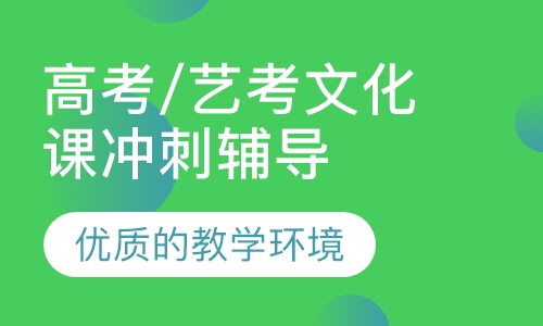 高考/艺考文化课冲刺辅导