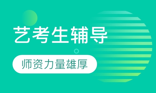 艺考生辅导