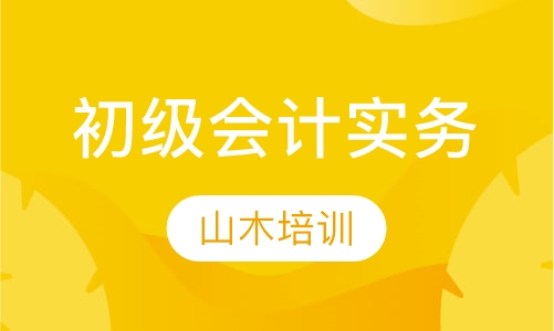 初级会计实务