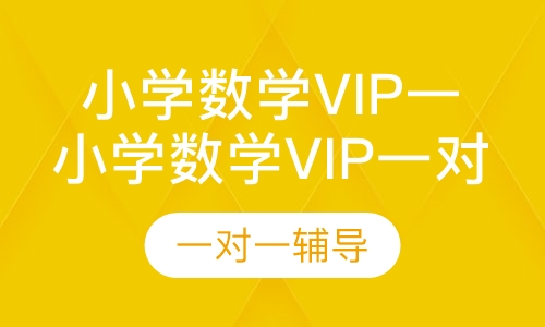 小学数学vip一对一课程