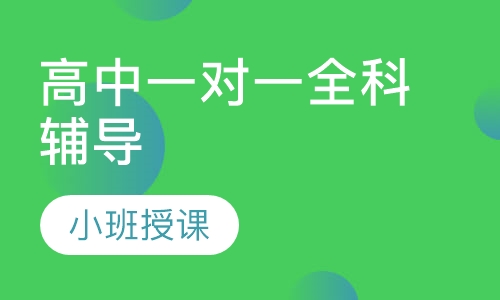 高中一对一全科辅导
