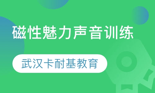 磁性魅力声音训练课程