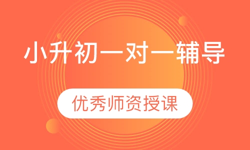 小升初一对一辅导
