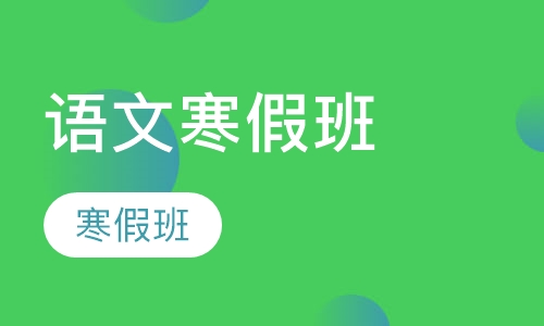 小学语文辅导寒假班