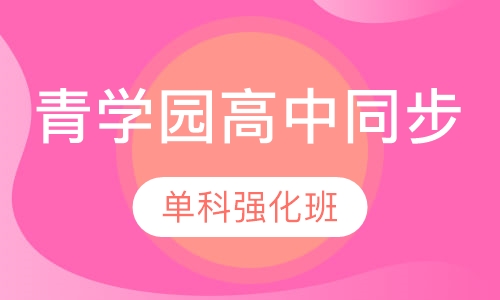 （青学园高中同步)单科强化班