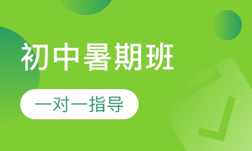 初中暑期天才班