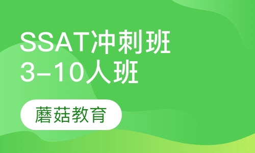 SSAT冲刺班（3-10人班）
