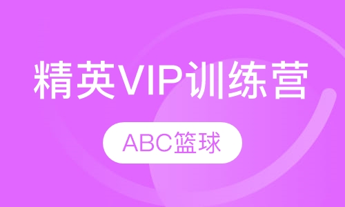 精英VIP训练营