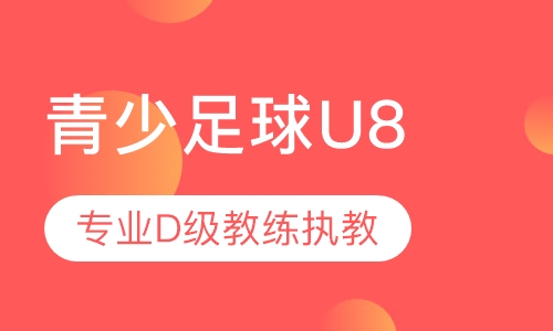 青少足球U8
