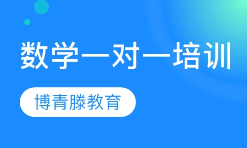 数学一对一培训