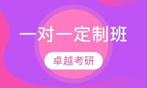 一对一定制班