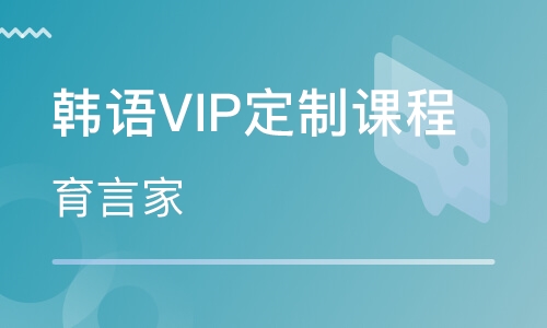录播课+直播课韩语VIP定制课程