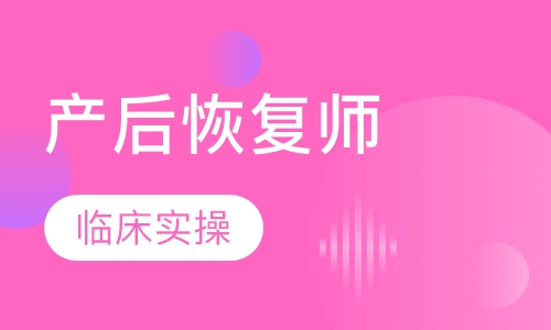 高级产后恢复师