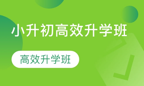 小升初高效升学班