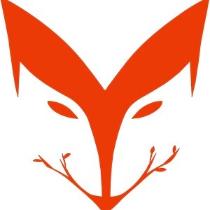 深圳红狐留学教育