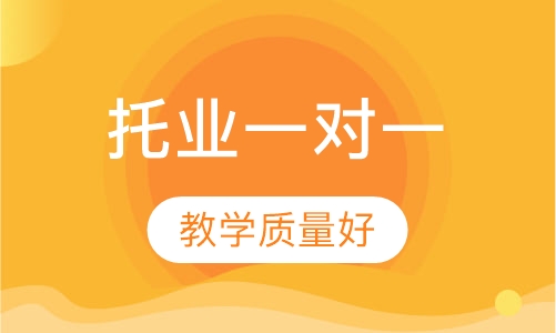 托业一对一课程-VIP
