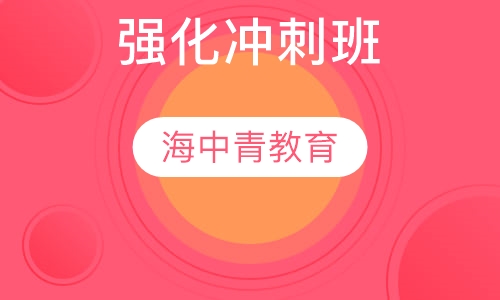 考点精讲班 强化冲刺班