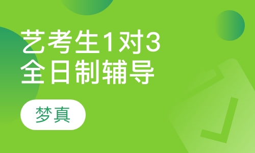 艺考生1对3全日制辅导