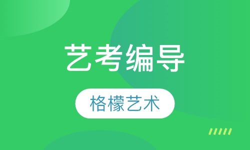 艺考编导