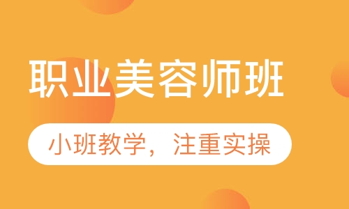 职业师班