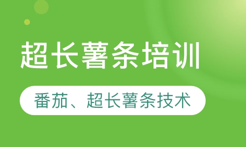 超长薯条培训
