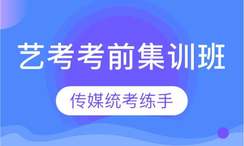 艺考考前集训班