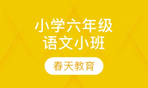 小学六年级语文小班辅导课程