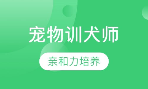 宠物训犬师C级