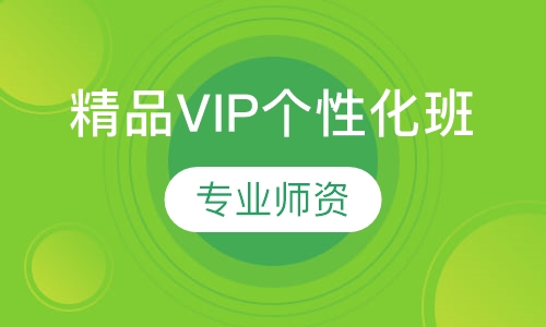 精品VIP个性化班