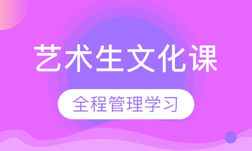 艺术生文化课辅导