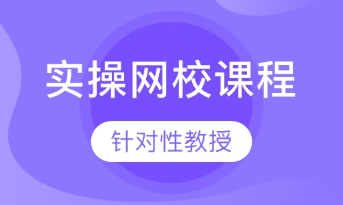 实操网校课程白领级