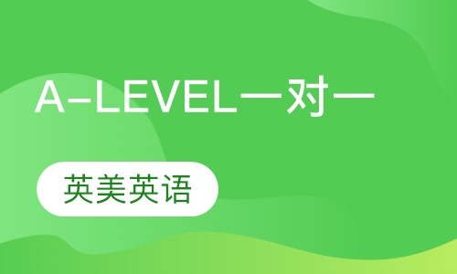 A-LEVEL一对一班