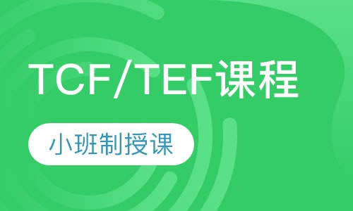 TCF/TEF直通课程