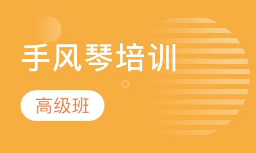 手风琴高级班