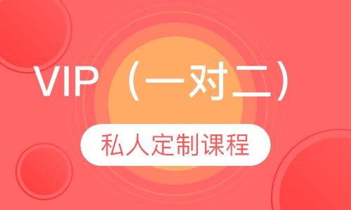VIP（一对二）