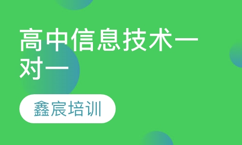 高中信息技术一对一