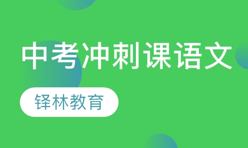 中考冲刺课程语文